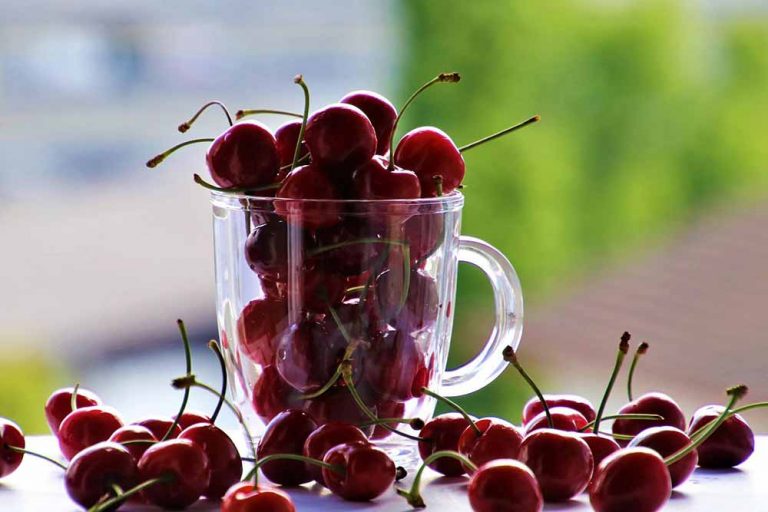 Kompot od trešanja – 3 recepta iz velikog narodnog kuvara