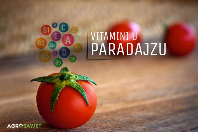 vitamini u paradajzu