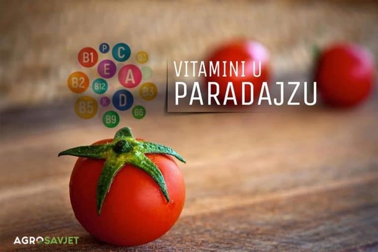 Vitamini u paradajzu i njegova hranljiva vrijednost