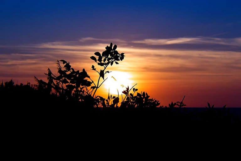 LJEKOVITO SUNCE – Kako se pravilno sunčati?