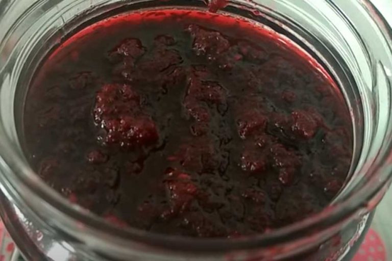 PEKMEZ OD ARONIJE BEZ ŠEĆERA – Odličan je za dijabetičare