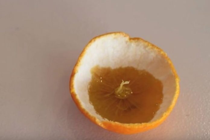 kora od mandarine