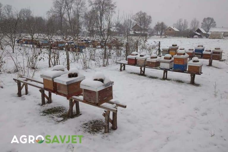 Radovi u pčelinjaku u decembru