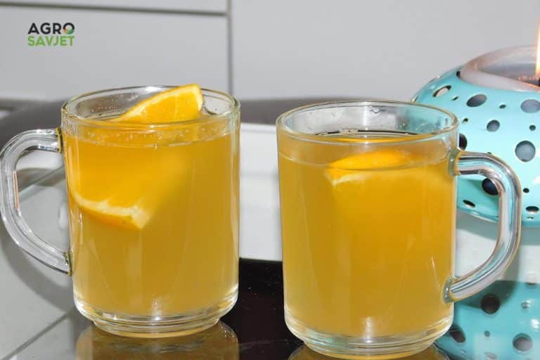 Čaj od maslačka – Svima dostupan, a veoma koristan!