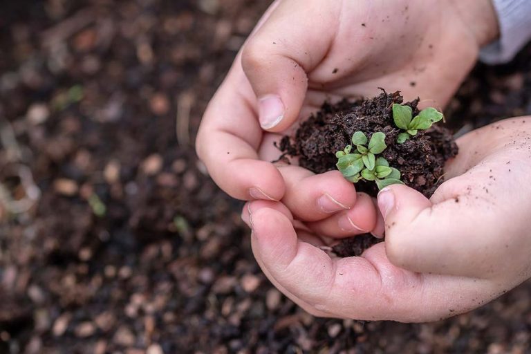 Biostimulatori – Supstance koje poboljšavaju rast biljaka