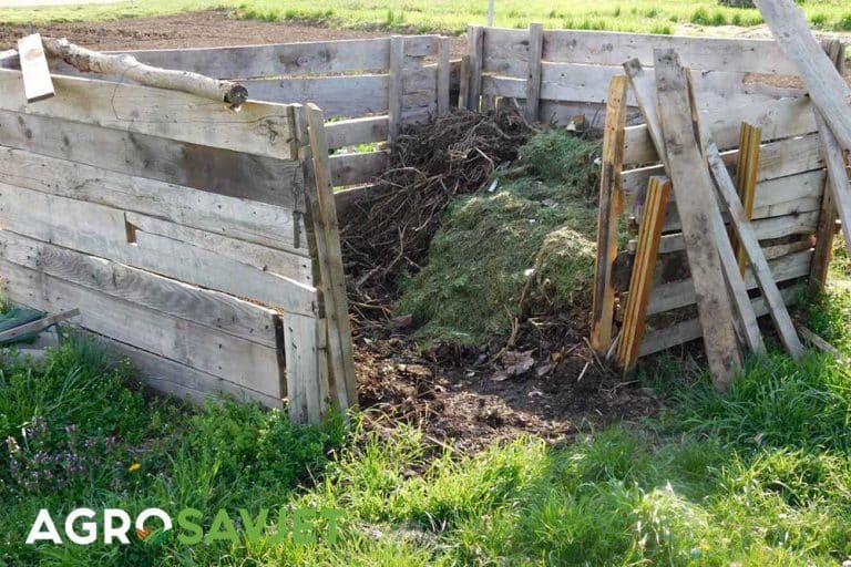 Oprezno sa kompostom – Evo koje biljke ga vole, a koje ga ne podnose