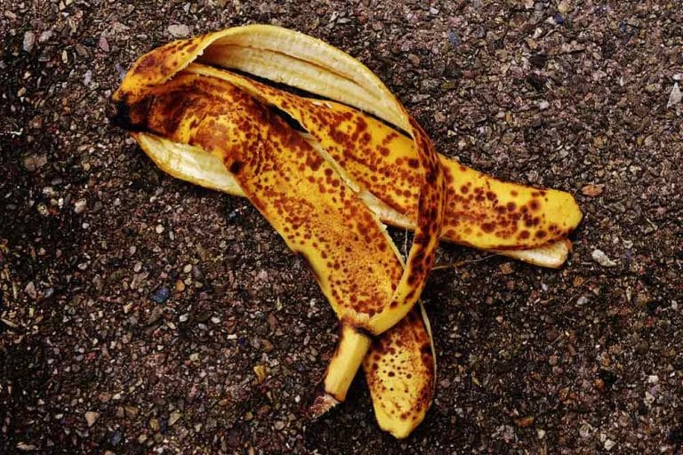 Kako koristiti koru od banane za bolji rast i razvoj biljaka – Izbjegnite moguće greške!