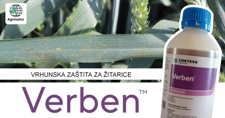 Fungicid Verben za zaštitu žita od bolesti – Preporuka stručnjaka kompanije Agrimatco