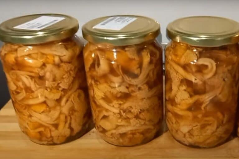 NAJBOLJI RECEPT ZA MARINIRANE LISIČARKE – Spremne kad god vam treba brzinsko jelo