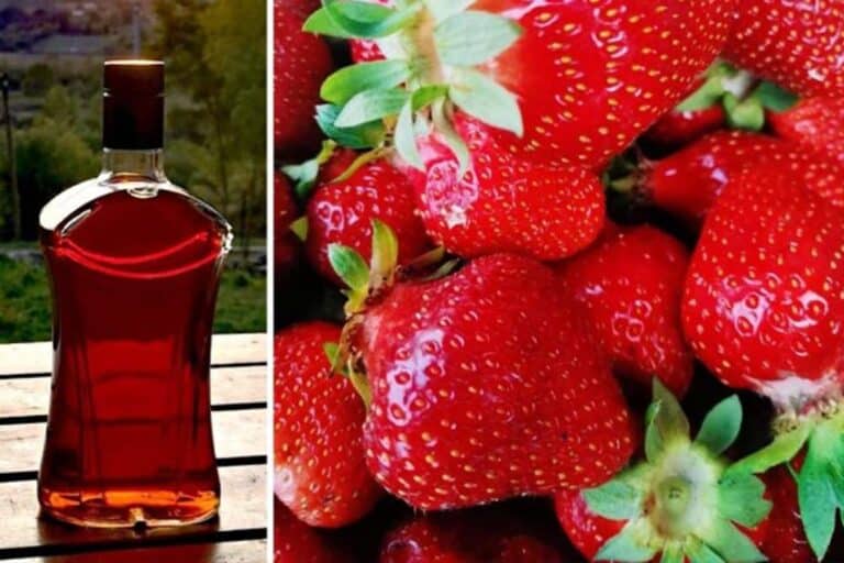 Napravio rakiju od jagoda – i od kvaliteta i od cijene boli glava