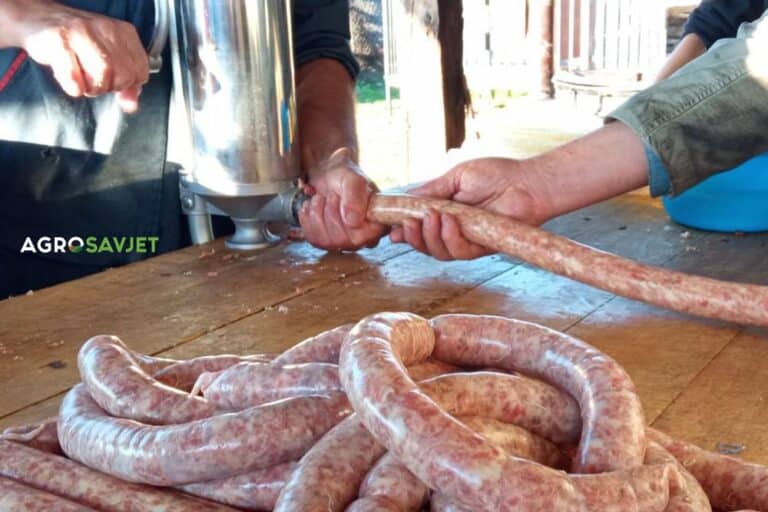 Kako se pravi domaća kobasica /RECEPT/