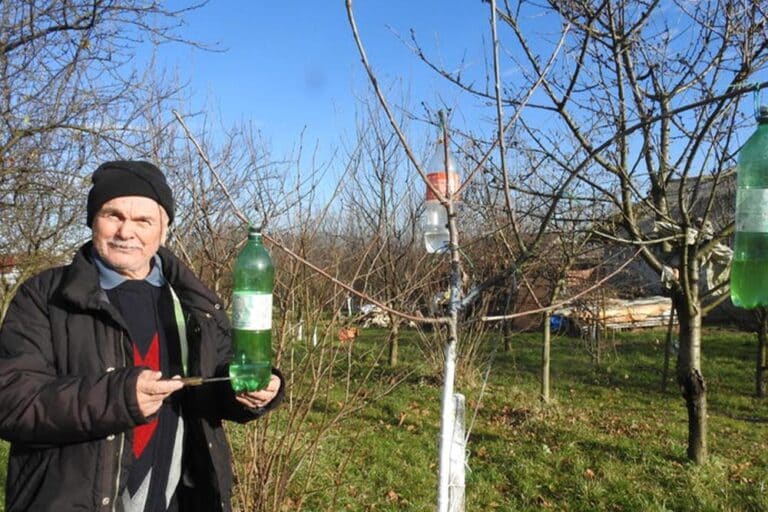 ZASADBREG Voćarski izumi umirovljenog kemijskog tehničara Stanislava Tarandeka