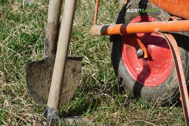 Pijesak i ulje – Savršen metod za čist baštenski alat